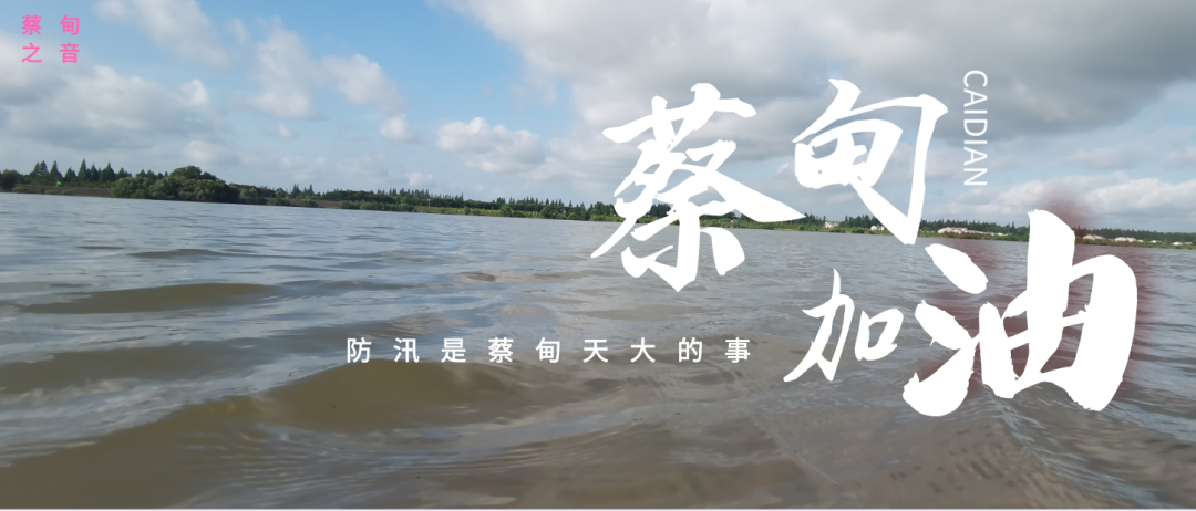 蔡甸區(qū)啟動防汛ⅰ級應急響應，做好鋪土釘防汛木樁工作