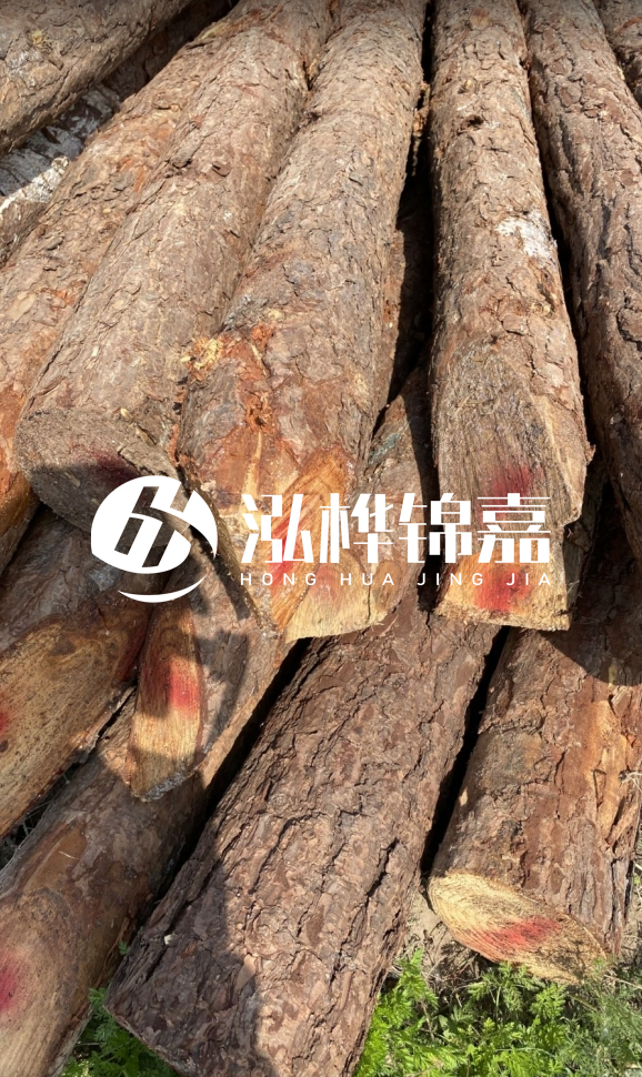 <strong>松木樁和杉木樁的用途區(qū)別？哪個更適合打樁用？</strong>