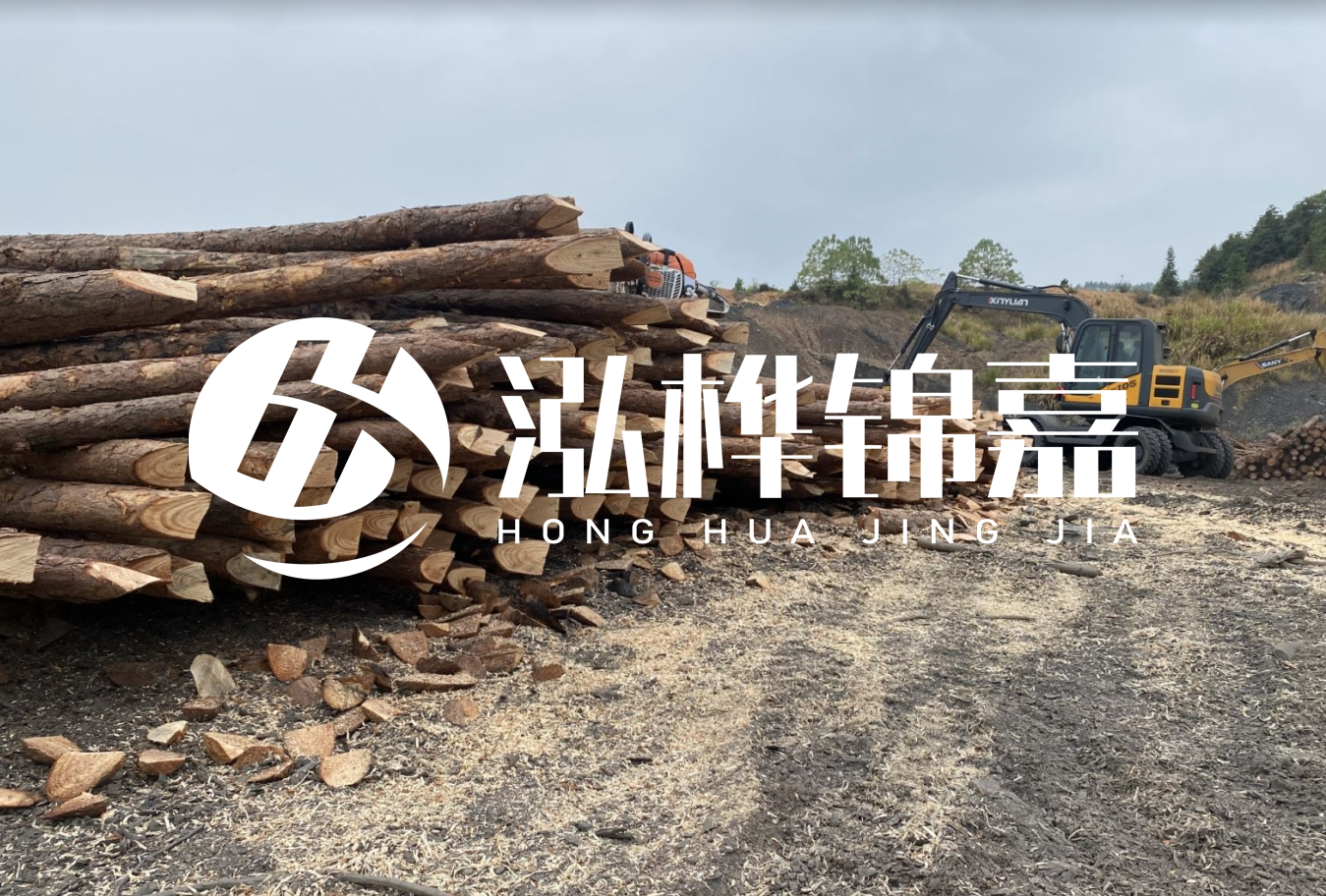 松木樁尾徑是什么意思？