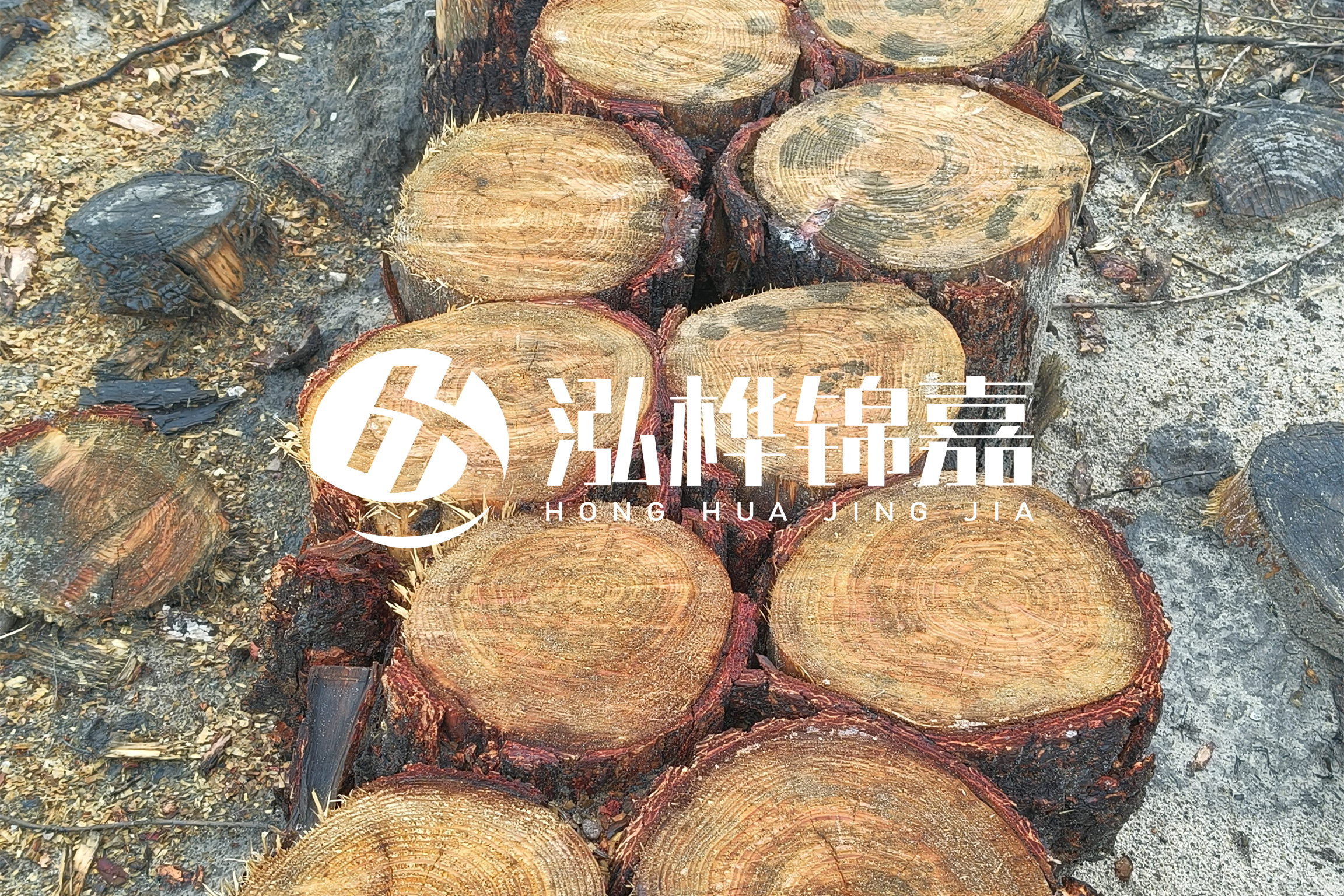 浙江臺州有清淤的公司嗎？浙江臺州有清淤施工隊嗎？