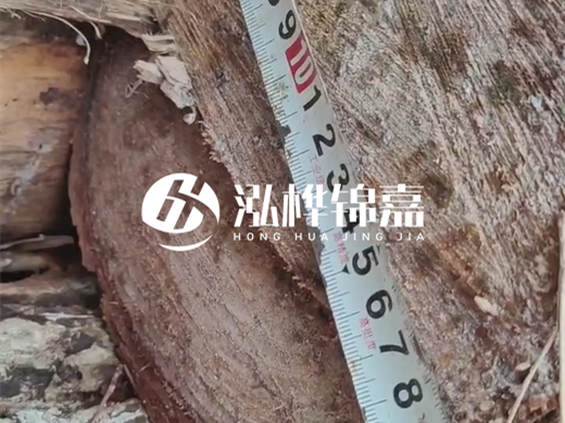 打木樁有什么好處？打樁木適用范圍有哪些要求？
