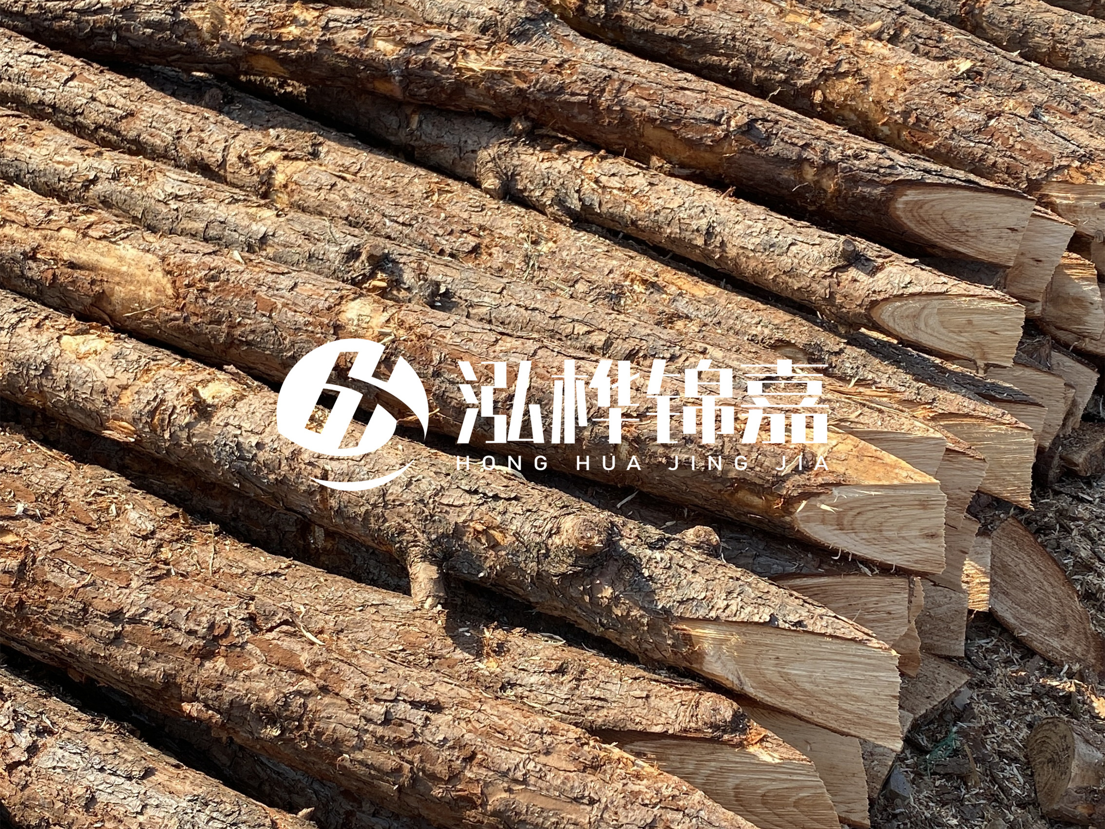 8 米超大直徑松木樁的價格是多少？帶皮和去皮松木樁價格差多少？