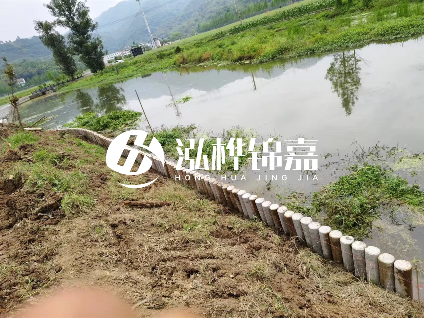 松木樁加固河道與水泥樁對比如何？哪一種更加適合您？