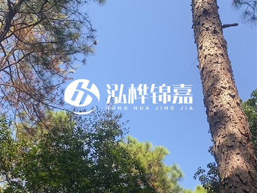 松木樁廠家的供貨能力強不強-怎么才能聯(lián)系到松木樁廠家？