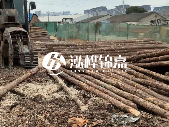 2 米長(zhǎng)度松木樁多少錢？松木樁 10 一 15 公分價(jià)格？