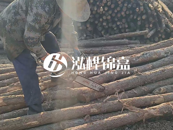 廣東打樁木源頭廠家泓樺錦嘉 - 如何選擇適合特定邊坡的松木樁？