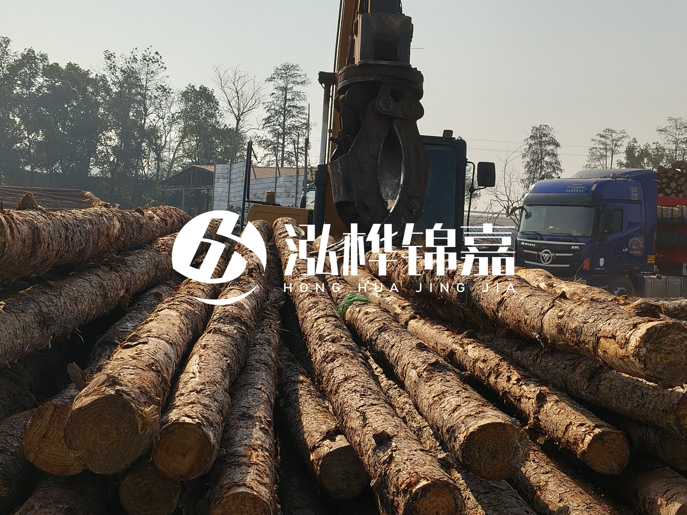 松木樁可以用來做什么？常用于哪些工程？
