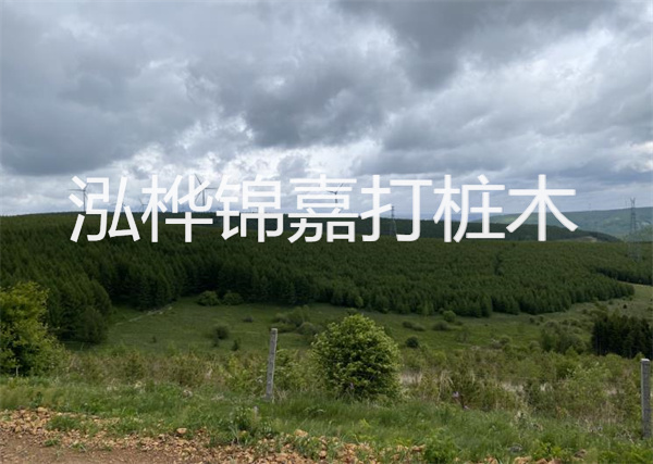 松木樁能重復施工么？