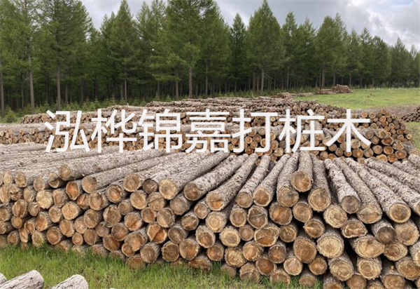 松木樁能施工嗎？探究視頻揭秘真相！