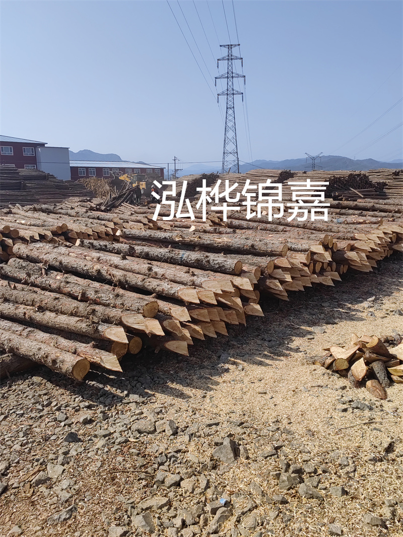 深入了解松木樁基礎施工單價，助力工程建設順利進行！