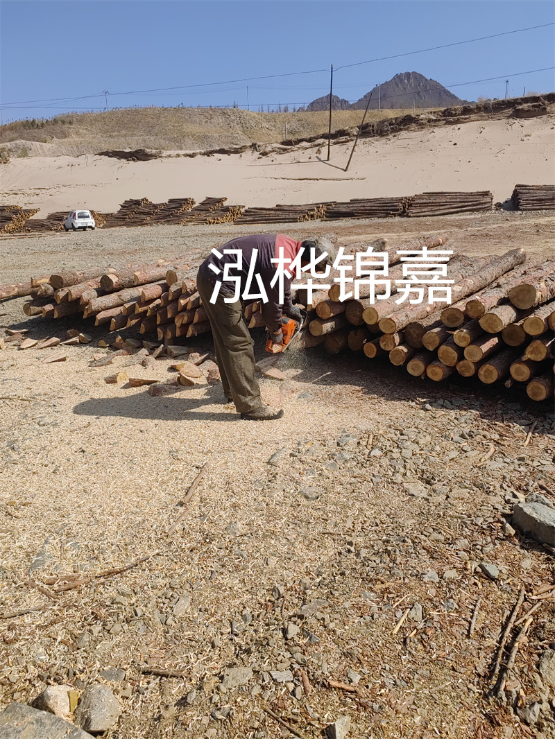 松木樁駁岸施工，打造水上風景線