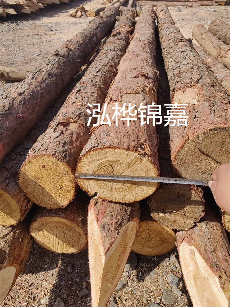 福建哪里買松木樁？